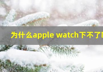 为什么apple watch下不了歌